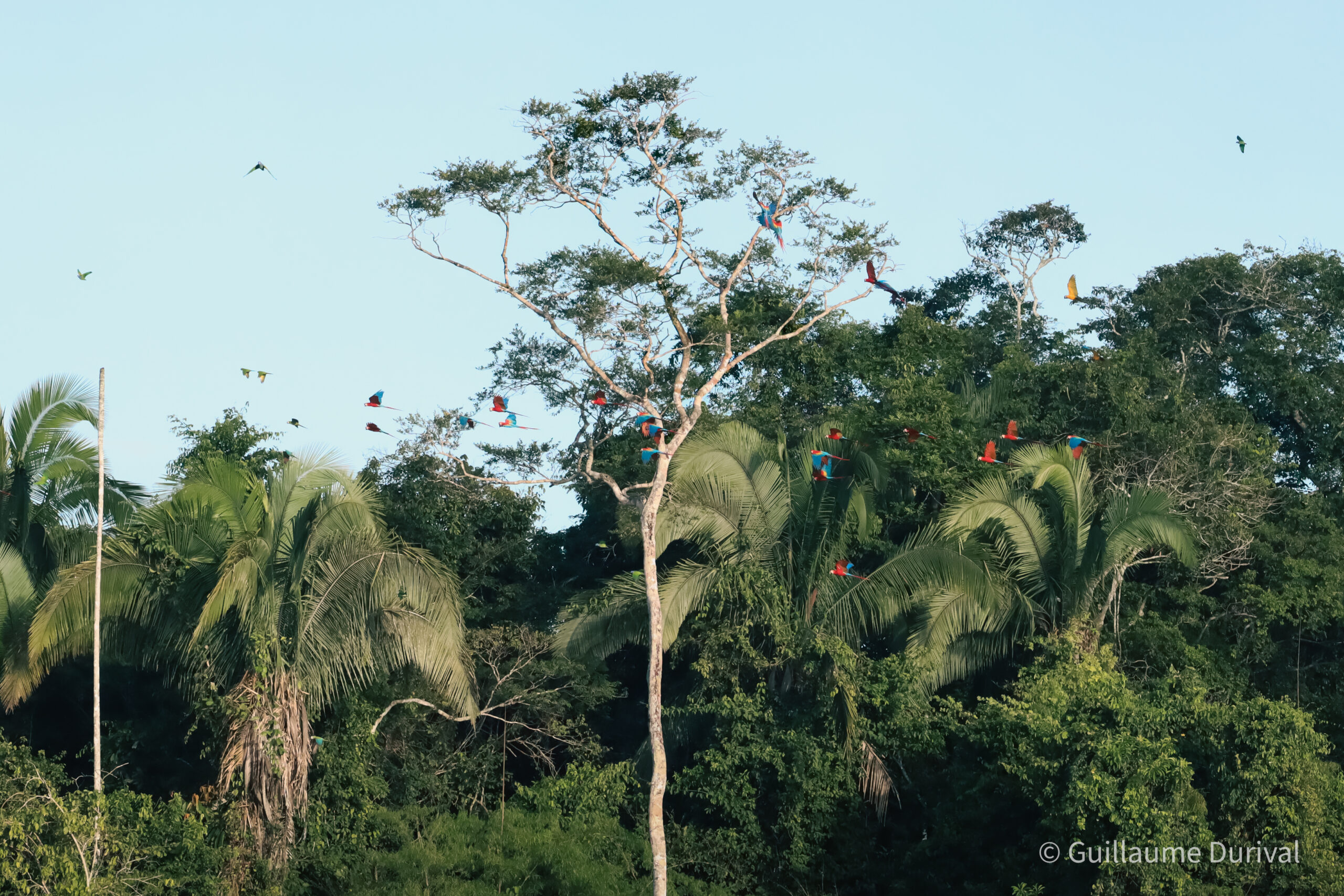 Refugio Amazonas, Peru